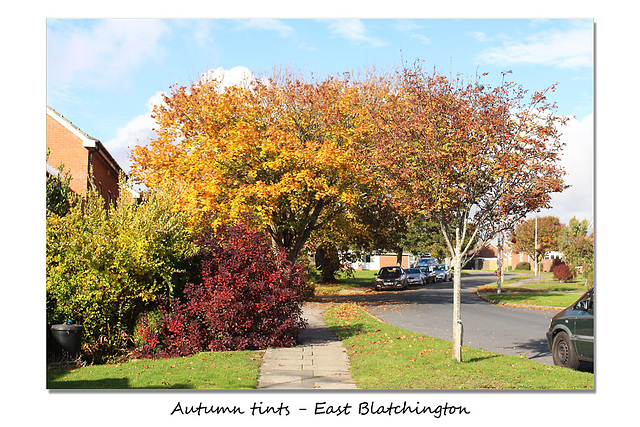 Autumn tints - at Kingsmead - East Blatchington - 28.10.2015