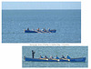 Racing gig Grace O'Malley collage Seaford Bay 5 2 2023