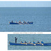 Racing gig Grace O'Malley collage Seaford Bay 5 2 2023