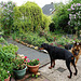 Fabio en Pim in de tuin