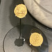 Museum of Antiquities 2022 – Emperor Domitian exhibition – Coins from the time of emperor Vespasian