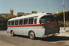 Gozo, May 1998 FBY-037 Photo 392-24