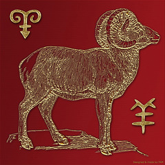 Year of The Sheep 2