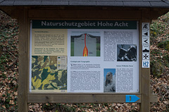 Eifel - Hohe Acht DSC00223