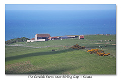 Cornish Farm near Birling Gap - Sussex - 30.4.2015