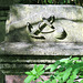 abney park cemetery, london,anchor of hope on a c19 tomb