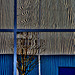 Windows.Reflections.....and a Tree