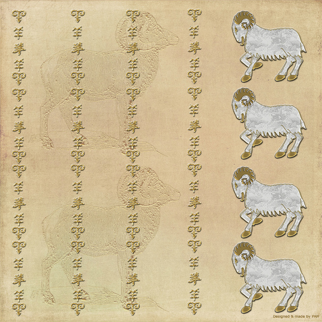 Year of The Sheep 6