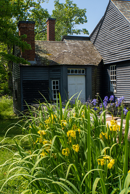 Hamilton House cottage iris