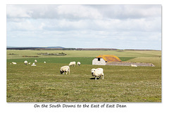 On the South Downs to the East of East Dean - Sussex - 30.4.2015