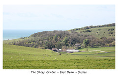 Sheep Centre - East Dean - Sussex - 30.4.2015