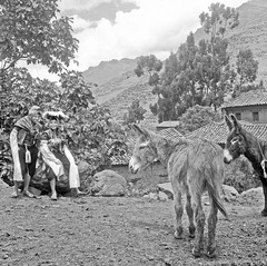 Two and Two- on the way to Pisac