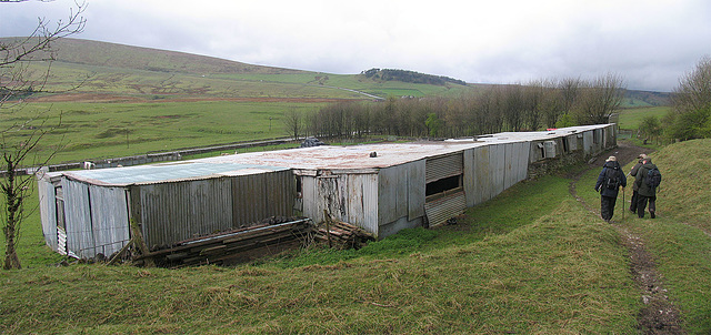 Cattle sheds
