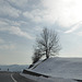 neve in basso Piemonte