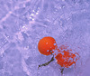 1 (20)...oranges in blue water