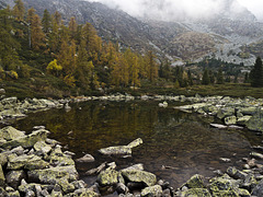 Oropa, Biella - The golden larches are reflected in the little lake of the Bose