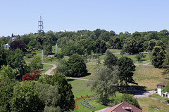 Blick aus dem Bürofenster - Killesbergpark