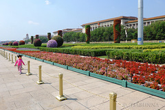 The gardens in the Square