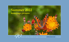 Ipernity Homepage Summer 2022