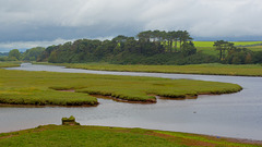 River Otter Tidal Estuary