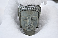 Schnee-Buddha