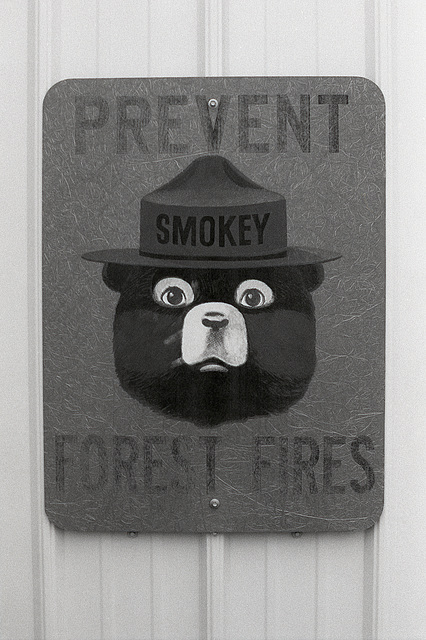 Remember, Only You Can Prevent Forest Fires