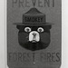 Remember, Only You Can Prevent Forest Fires