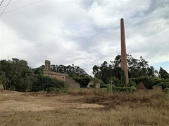 For many years we can't smell anymore the eucalyptus essence of this factory