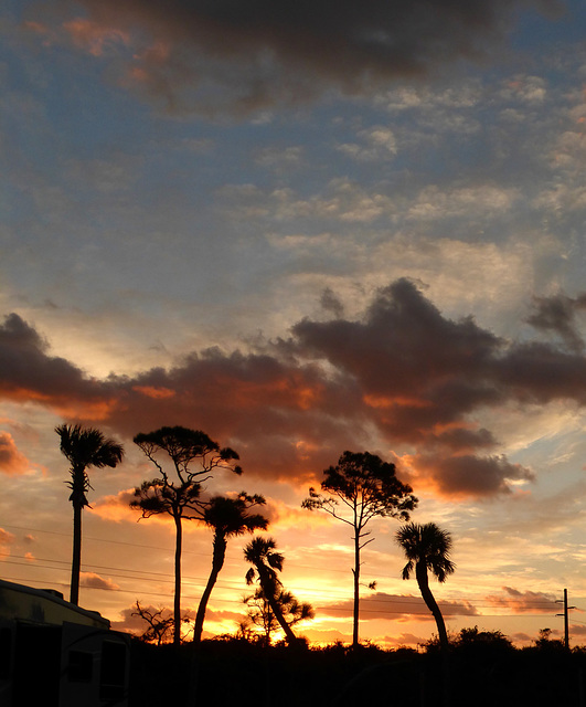 Sunrise at Hobe Sound, Florida