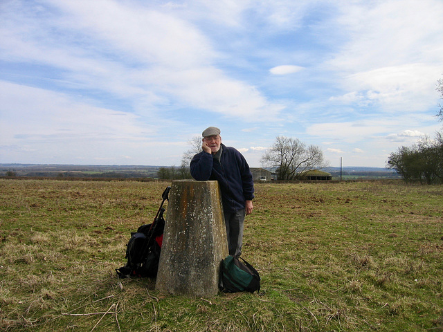 Trig Point (88m) at Shoots Hill Wood