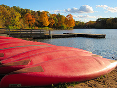 Fall Canoes