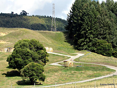 Game Park At Rotorua