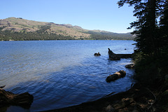 Caples Lake