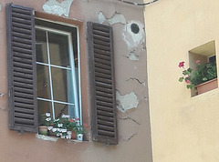 Il vecchio e il nuovo..ma si fanno compagnia con i fiori sul davanzale..nella Bologna vecchia!