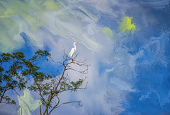 egret in tree 327-painting