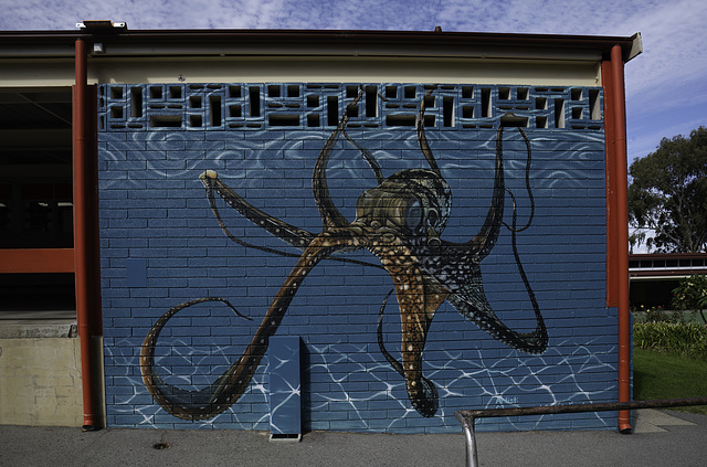 Operations - Fremantle Octopus