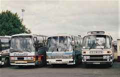 Coaches at RAF Mildenhall Air Fete – 28 May 1994 (224-32)  (Coaches 4-6 in row of 6)