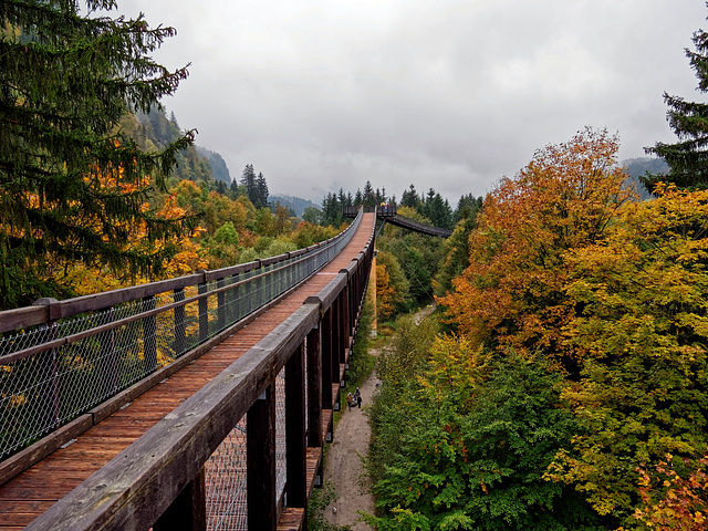 Baumkronenweg - HFF (PiP)