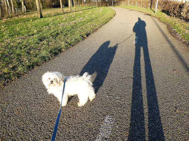 Walking the dog...