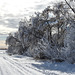 A back road in hoar frost