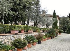 Anwesen inmitten einer Olivenplantage in der Toskana