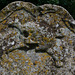 Flamstead tombstone (2.2)