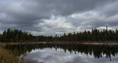 an einem der über 96.000 Seen in Schweden ... (© Buelipix)