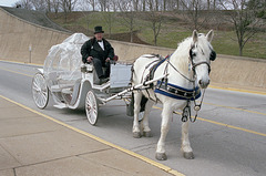 St. Louis Carriage Co.