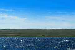 am Ostufer des Miðfjörður bei Hvammstangi (© Buelipix)