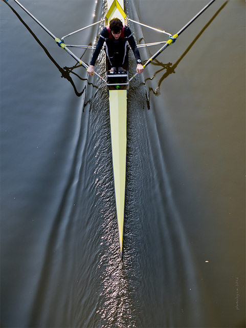 the lonely sculler II