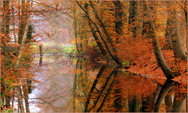 Reflections in Autumn...