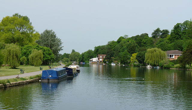 The River Thames at Caversham