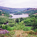 Grasmere Lake from White Moss Common (Scan from May 1991)