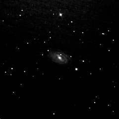 Die Galaxie M 109 in Ursa Major (view on black)